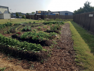 L'écosystème du potager d'Air Ambiance