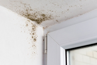 Traitement de l'humidité par Air Ambiance