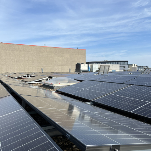 Toit usine panneau photovoltaïque