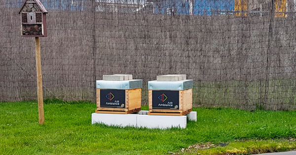 Air Ambiance - Valeurs éthiques et sociétales - Installation de ruches