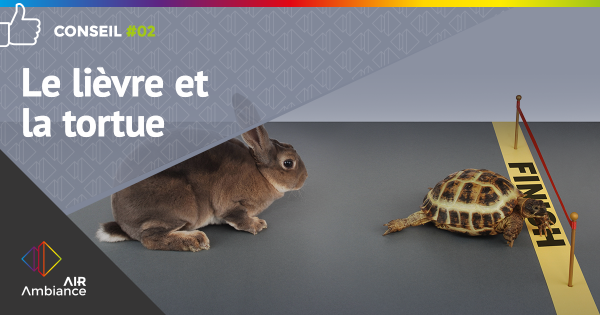 Conseil #2 : Le lièvre et la tortue