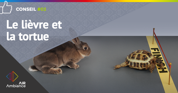 Conseil #2 : Le lièvre et la tortue 