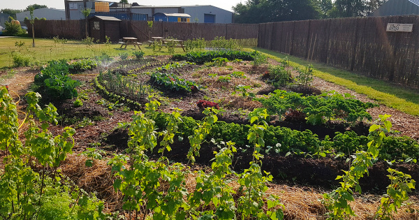 Le potager d'Air Ambiance