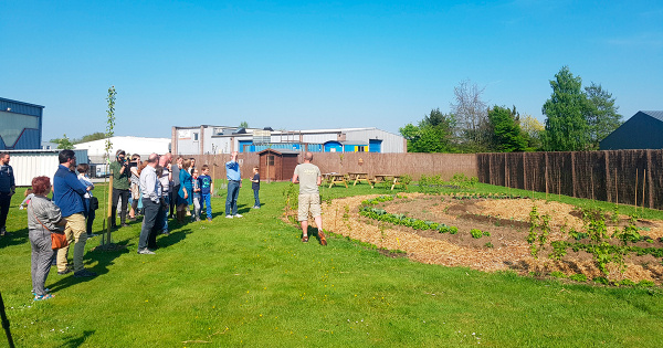 Un potager pour les employés